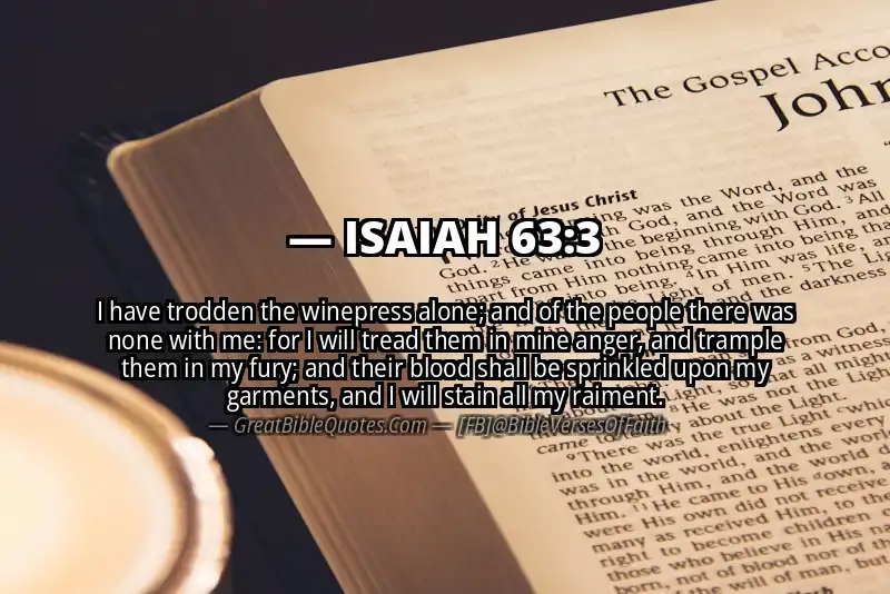 ISAIAH 63:3 Verse