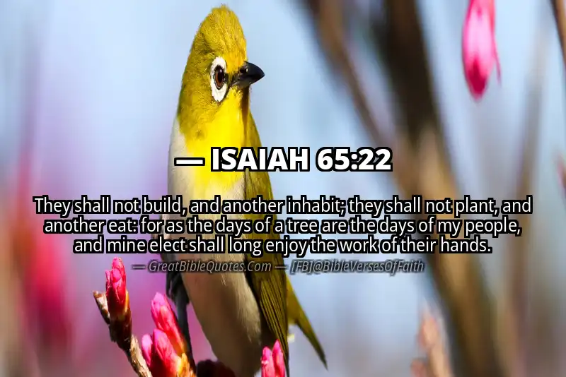 ISAIAH 65:22 Verse
