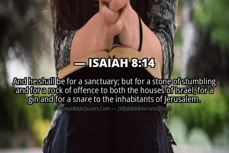 ISAIAH 8:14 Verse