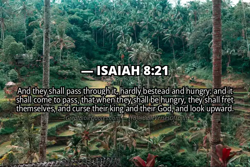 ISAIAH 8:21 Verse