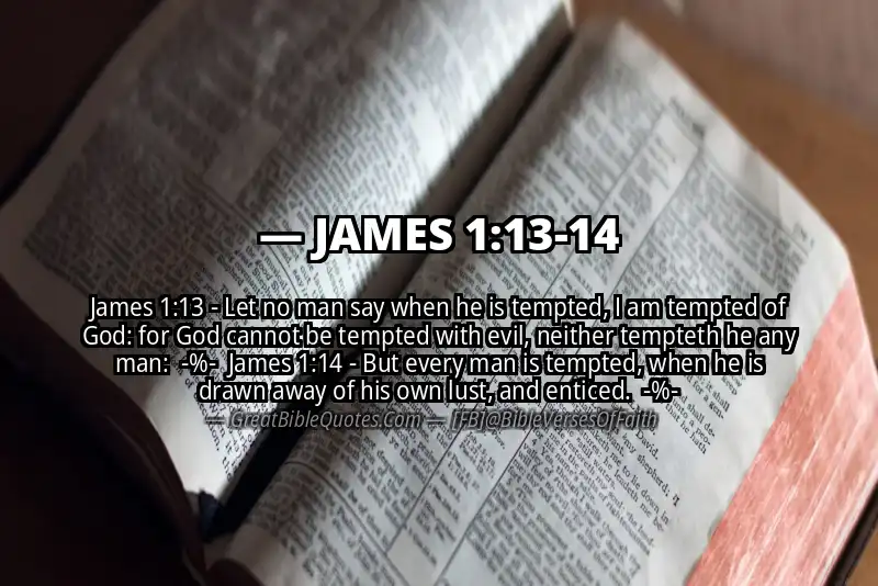 Image for JAMES 1:13-14 Bible verse