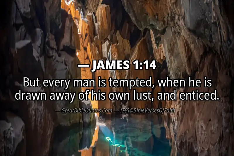 JAMES 1:14 Verse