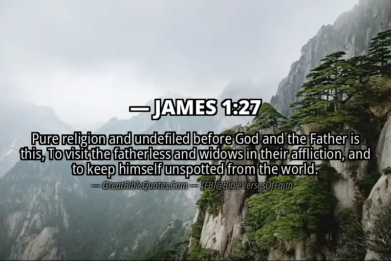 Bible verse: JAMES 1:27 Image