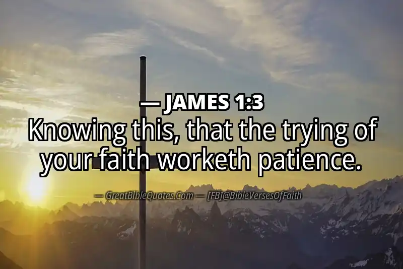JAMES 1:3 Verse