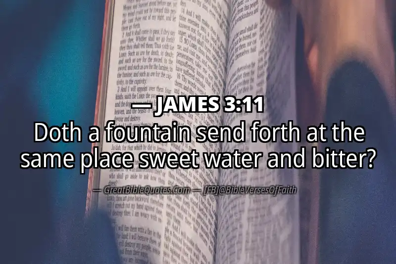 Bible verse: JAMES 3:11 Image