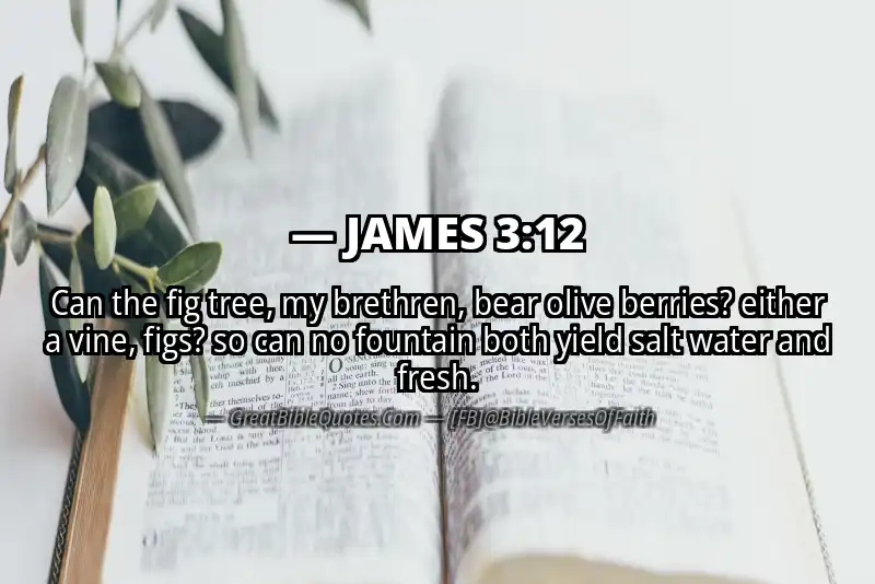 Bible verse: JAMES 3:12 Image
