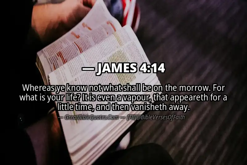 Bible verse: JAMES 4:14 Image