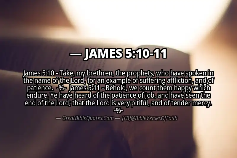 Image for JAMES 5:10-11 Bible verse