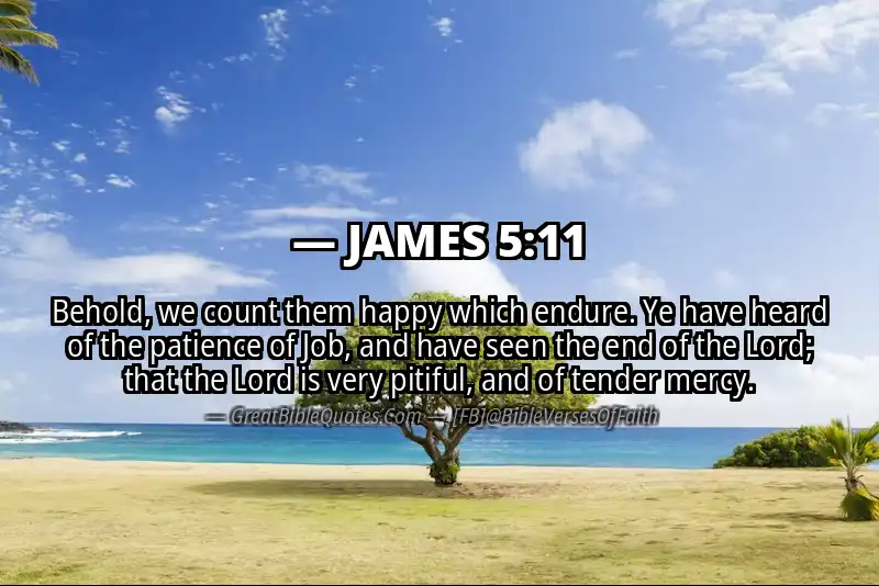 Bible verse: JAMES 5:11 Image