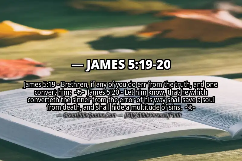 Image for JAMES 5:19-20 Bible verse