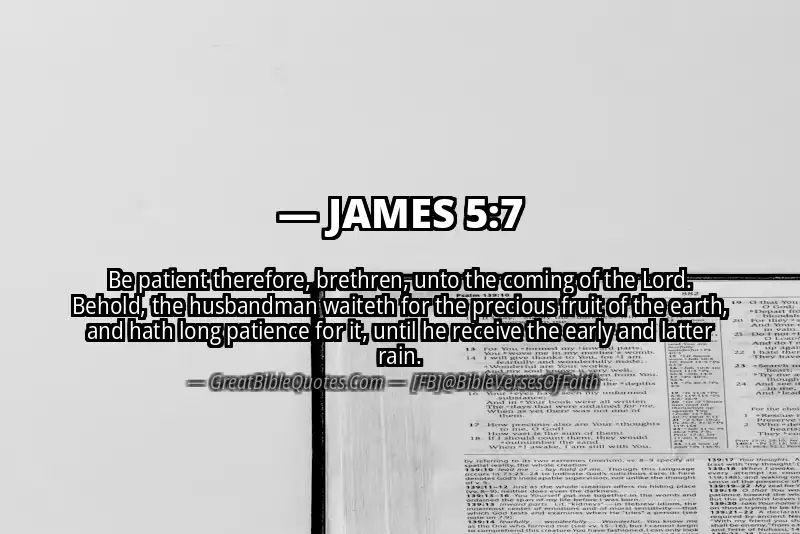 Bible verse: JAMES 5:7 Image