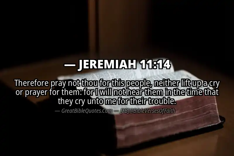 JEREMIAH 11:14 Verse