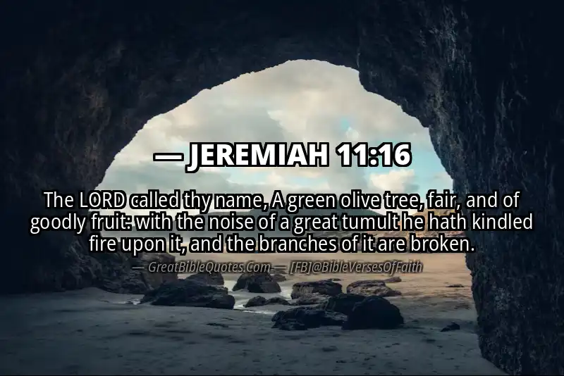 JEREMIAH 11:16 Verse