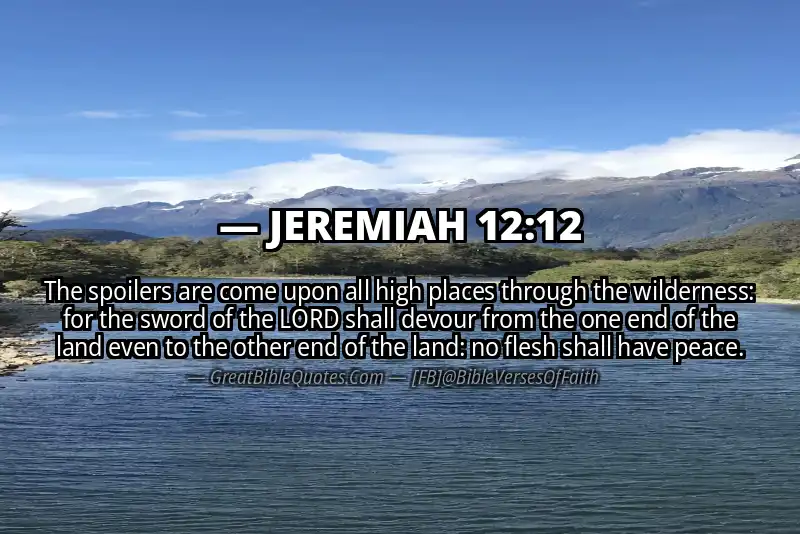 JEREMIAH 12:12 Verse