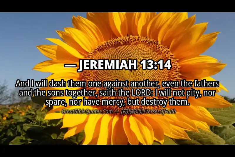 JEREMIAH 13:14 Verse