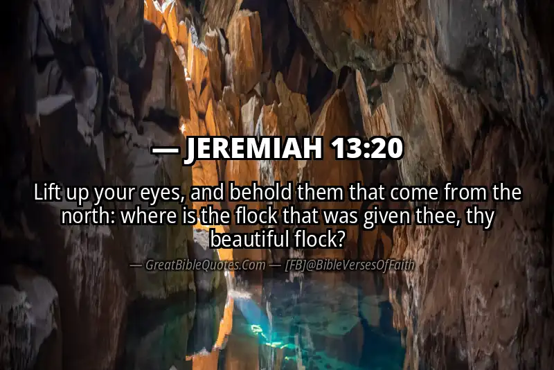 JEREMIAH 13:20 Verse