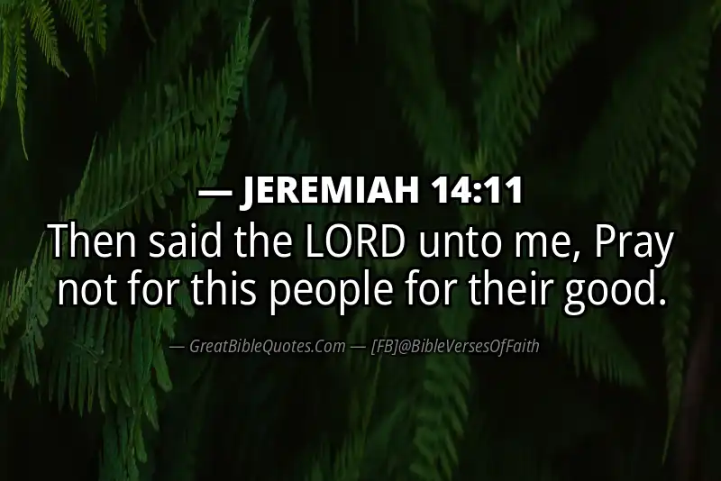 JEREMIAH 14:11 Verse