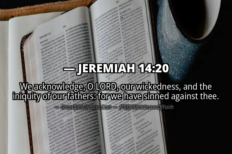 JEREMIAH 14:20 Verse
