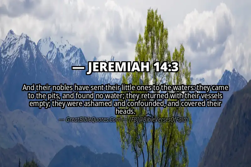 JEREMIAH 14:3 Verse Image