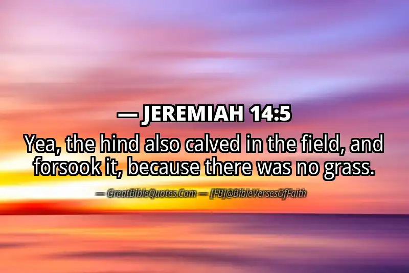 JEREMIAH 14:5 Verse