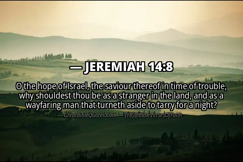 JEREMIAH 14:8 Verse