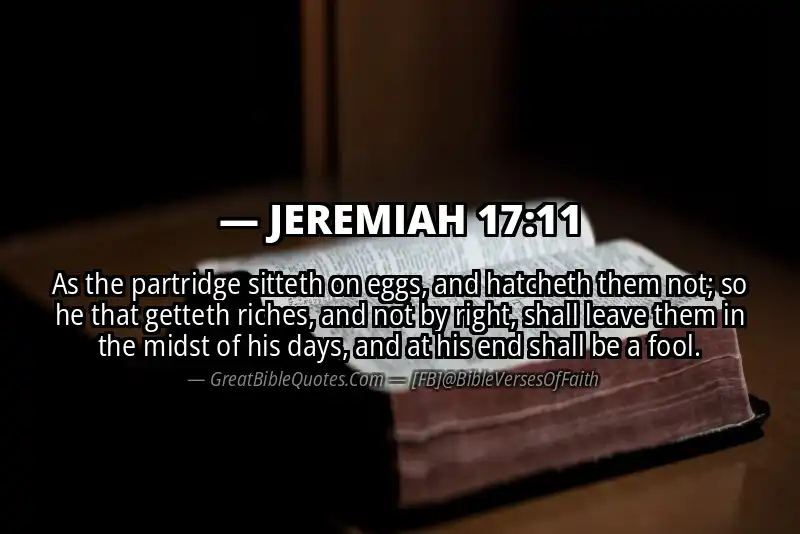 JEREMIAH 17:11 Verse Image
