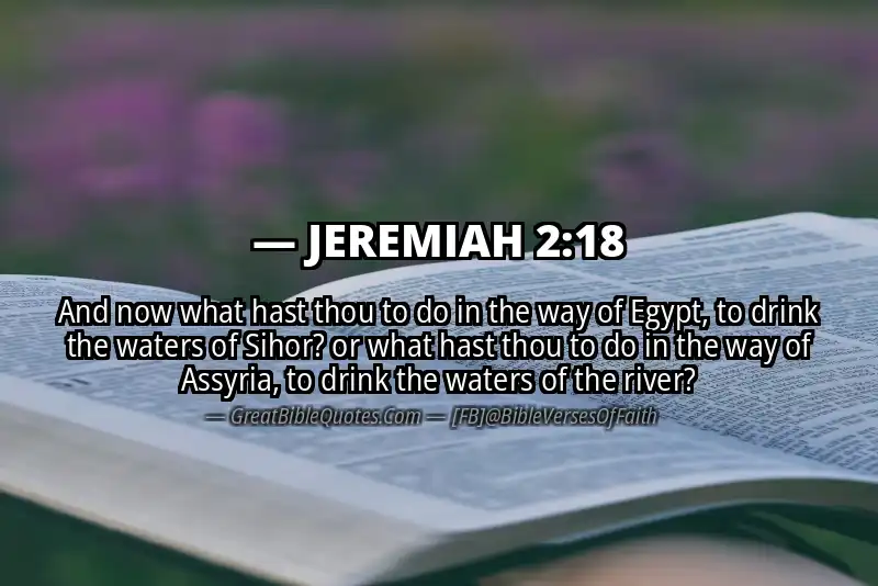 Bible verse: JEREMIAH 2:18 Image