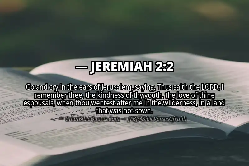 Bible verse: JEREMIAH 2:2 Image