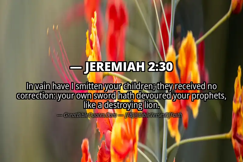 Bible verse: JEREMIAH 2:30 Image
