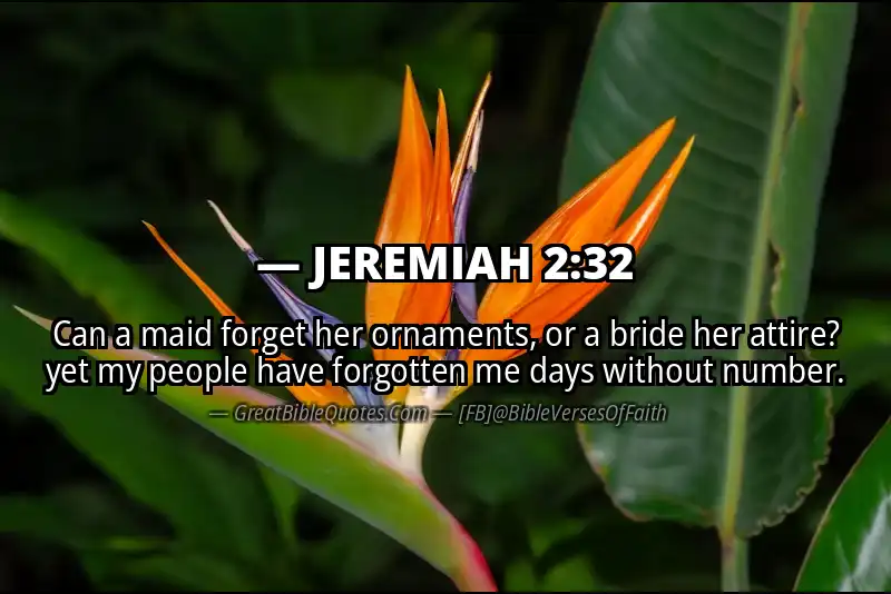 Bible verse: JEREMIAH 2:32 Image