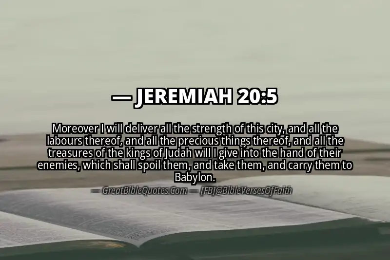 JEREMIAH 20:5 Verse