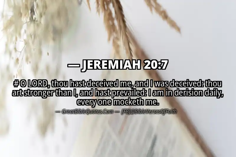 JEREMIAH 20:7 Verse