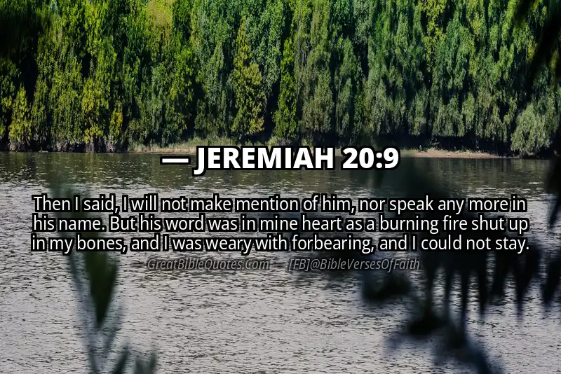 JEREMIAH 20:9 Verse Image
