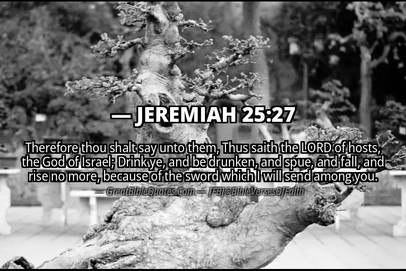 JEREMIAH 25:27 Verse