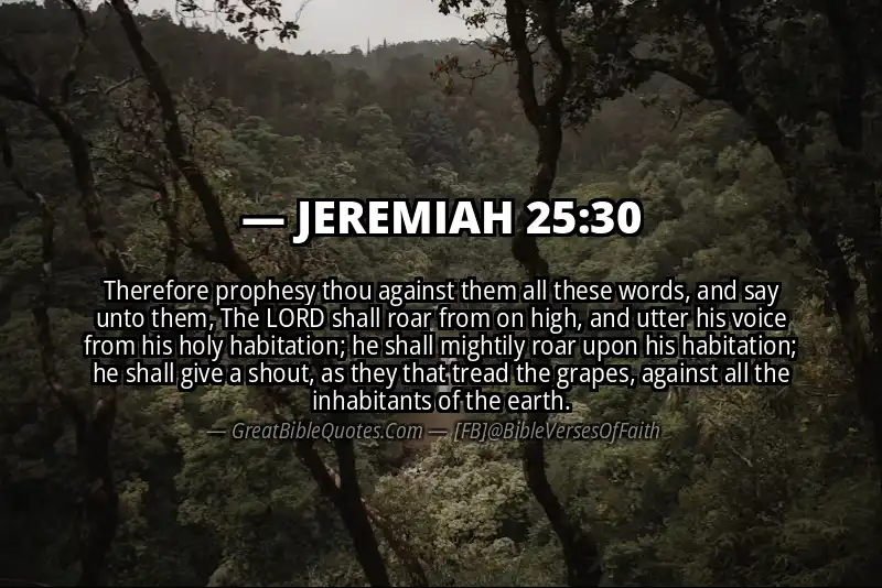 JEREMIAH 25:30 Verse