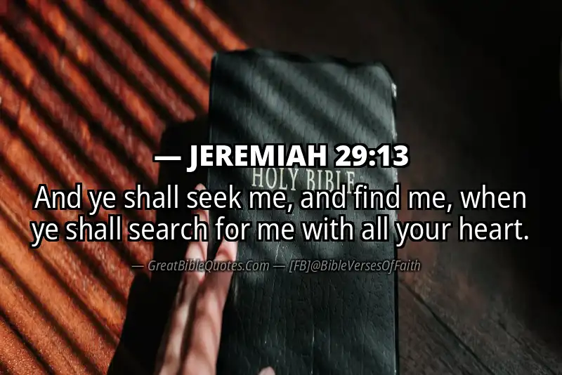 JEREMIAH 29:13 Verse
