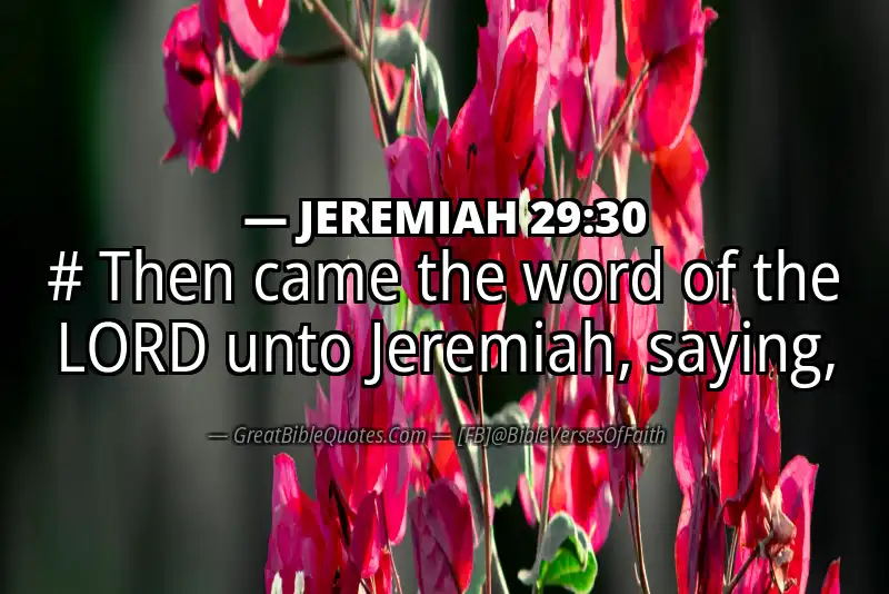 JEREMIAH 29:30 Verse
