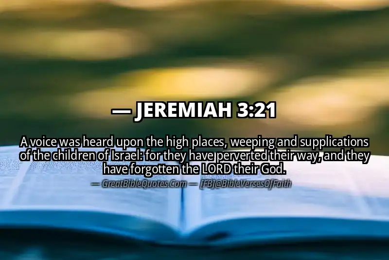 Bible verse: JEREMIAH 3:21 Image