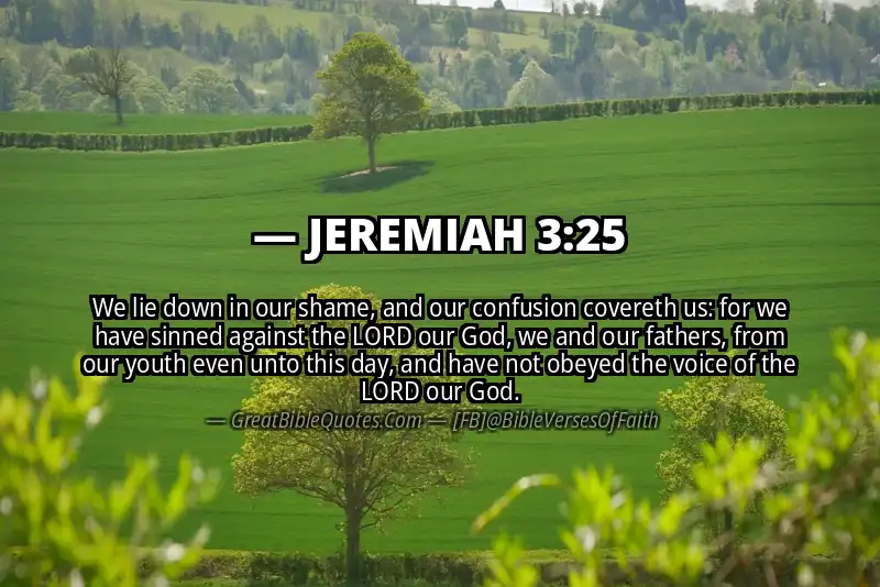 JEREMIAH 3:25 Verse