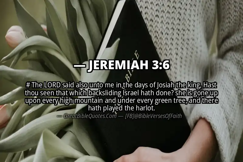 JEREMIAH 3:6 Verse