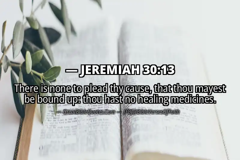 JEREMIAH 30:13 Verse
