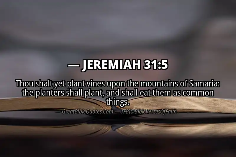 JEREMIAH 31:5 Verse