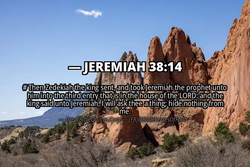 JEREMIAH 38:14 Verse