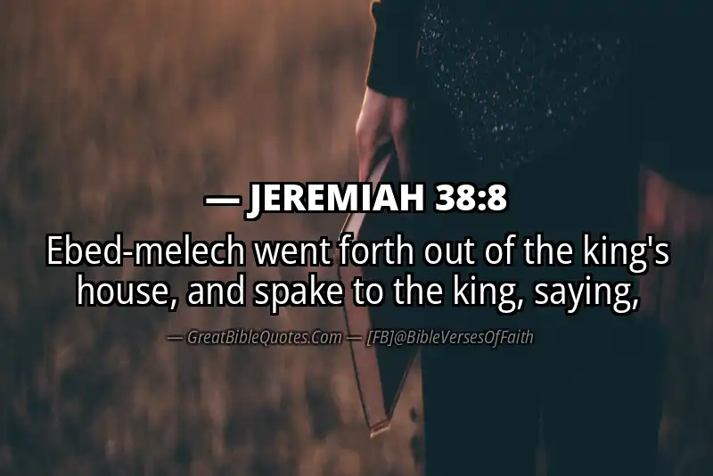 JEREMIAH 38:8 Verse
