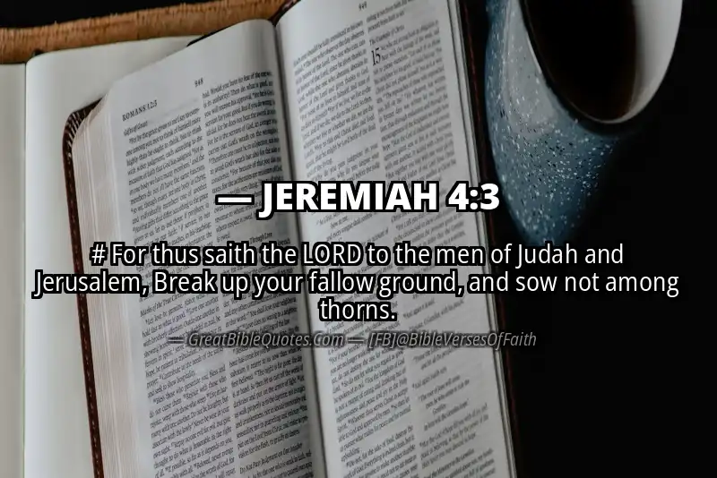 JEREMIAH 4:3 Verse