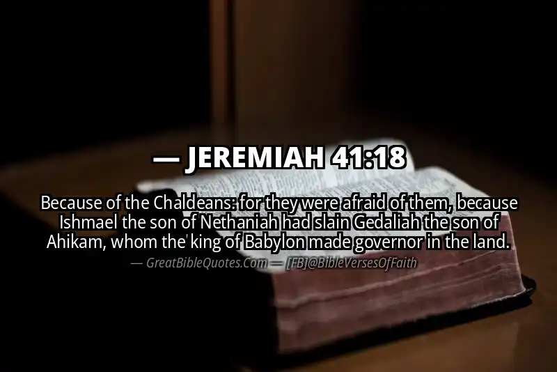 JEREMIAH 41:18 Verse