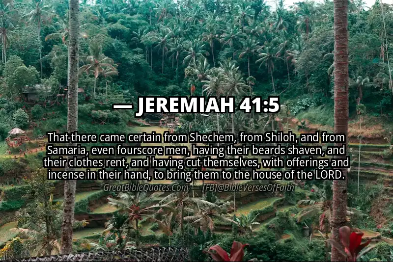 JEREMIAH 41:5 Verse