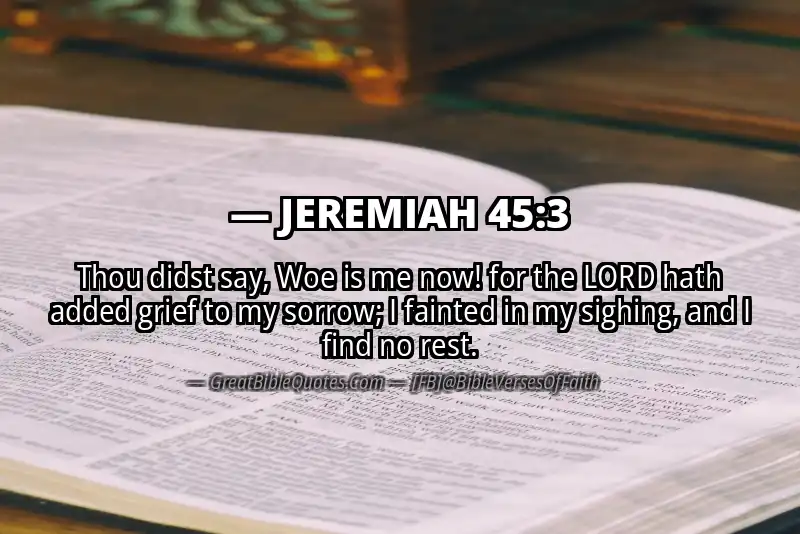 JEREMIAH 45:3 Verse