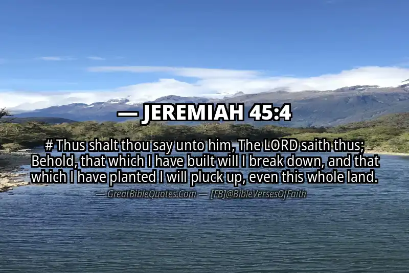 JEREMIAH 45:4 Verse