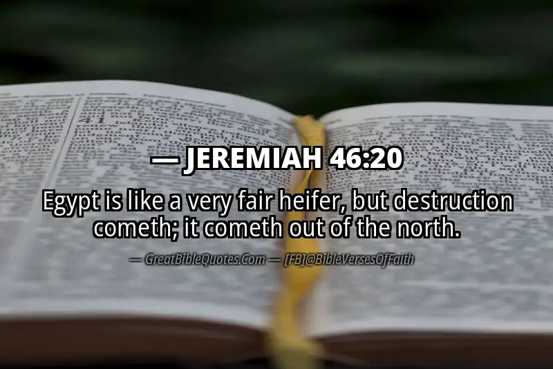 JEREMIAH 46:20 Verse
